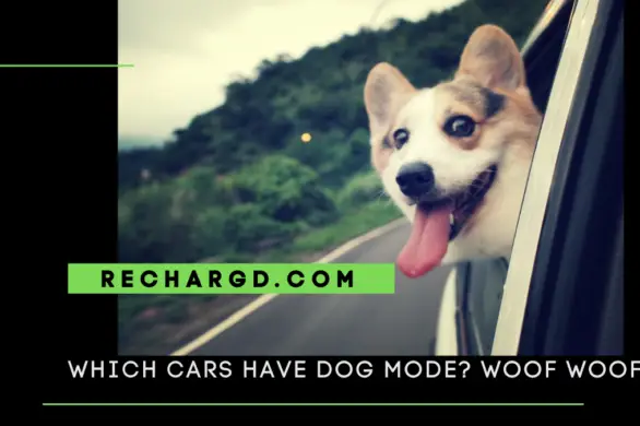 Which Electric Cars Have Dog Mode? (Tesla Origin Story)