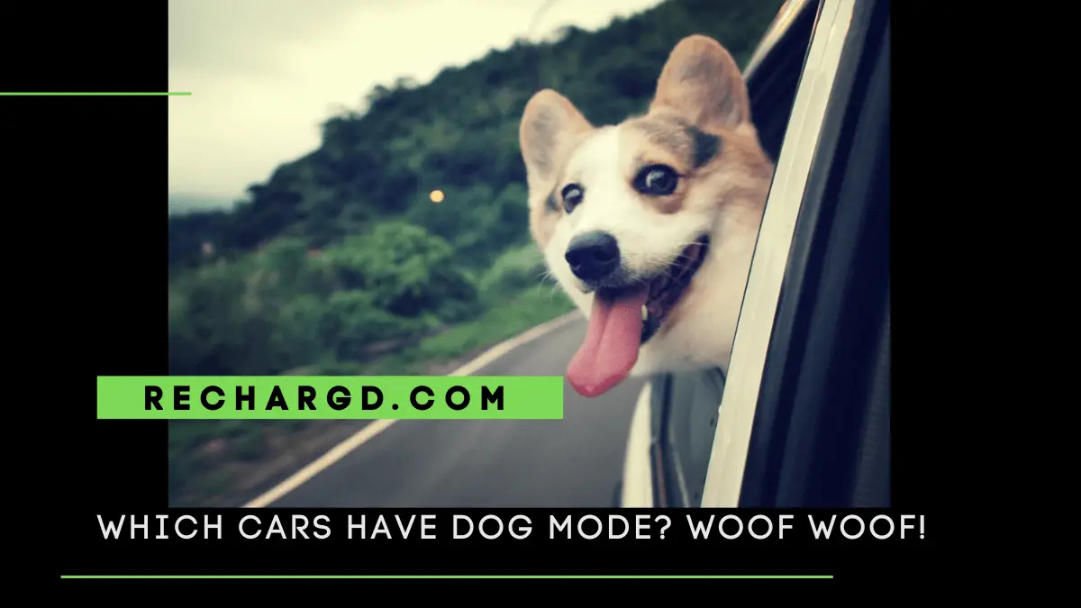 Which cars have dog mode