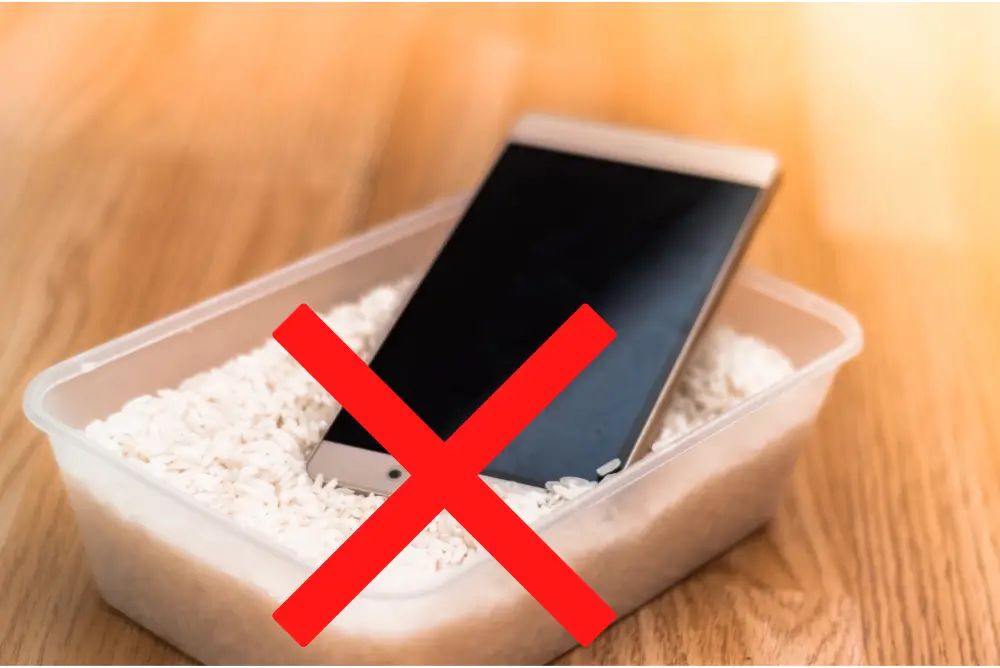 phone in rice