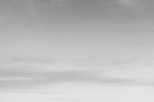 What are the differences in each model of Tesla?